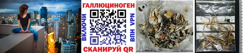 kraken   Волосово  Псилоцибиновые грибы Magic Shrooms 